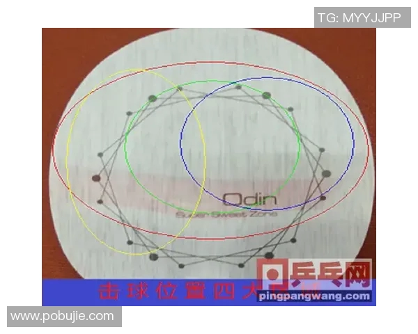 深圳乒乓球队状态分析与表现评估探讨及未来发展方向研究