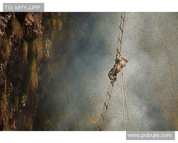 广州攀岩队灵活性变革引发热议探索攀岩新未来